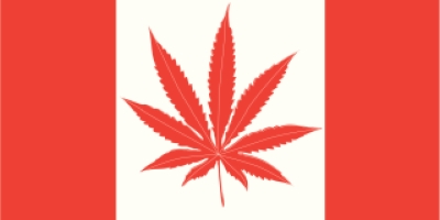 Legalize Marijuana or not?