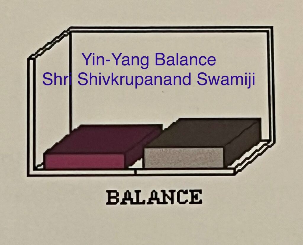 Article_5_Yin-Yang_report - Shiva-Shakti Union - Nadi, Subtle Energy Channels - Chakra Samhita by Jitendra Patwari